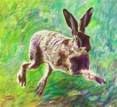 Joyful Hare by Helen White